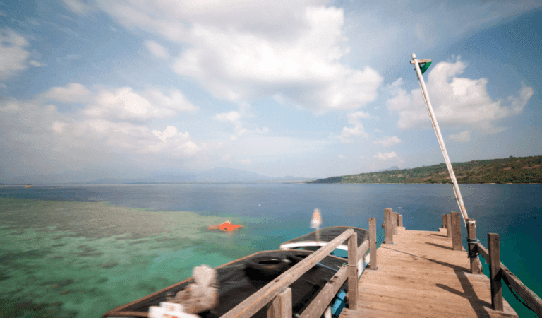 Gambar unggulan untuk:Menjangan Island Snorkelling: Dive into an Underwater Paradise