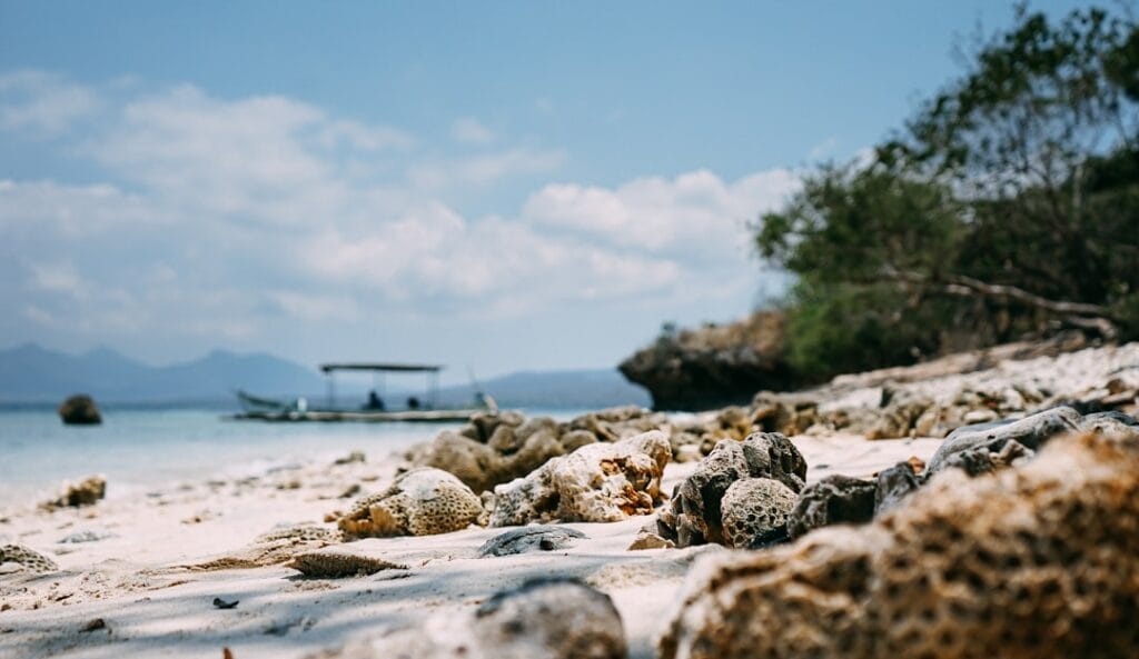 Menjangan Island is a small island, located 5 miles to the north-west of Bali. Diving here was superb, you can float along the reef wall. “Menjangan” in Indonesian means “Deer”, and we saw one during our lunch.